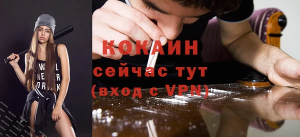 шишки Балахна