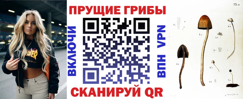 Псилоцибиновые грибы мухоморы  хочу   Куйбышев 