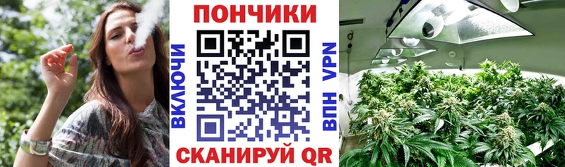 где купить наркоту  MEGA зеркало  Канабис планчик  Куйбышев 